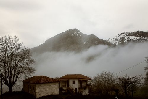 The Provincial