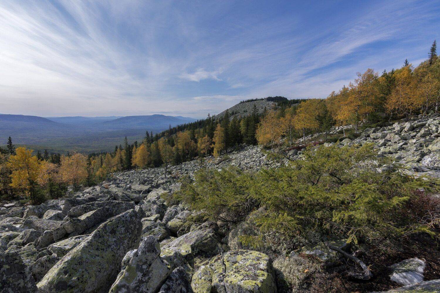 , Андрей Шарапов