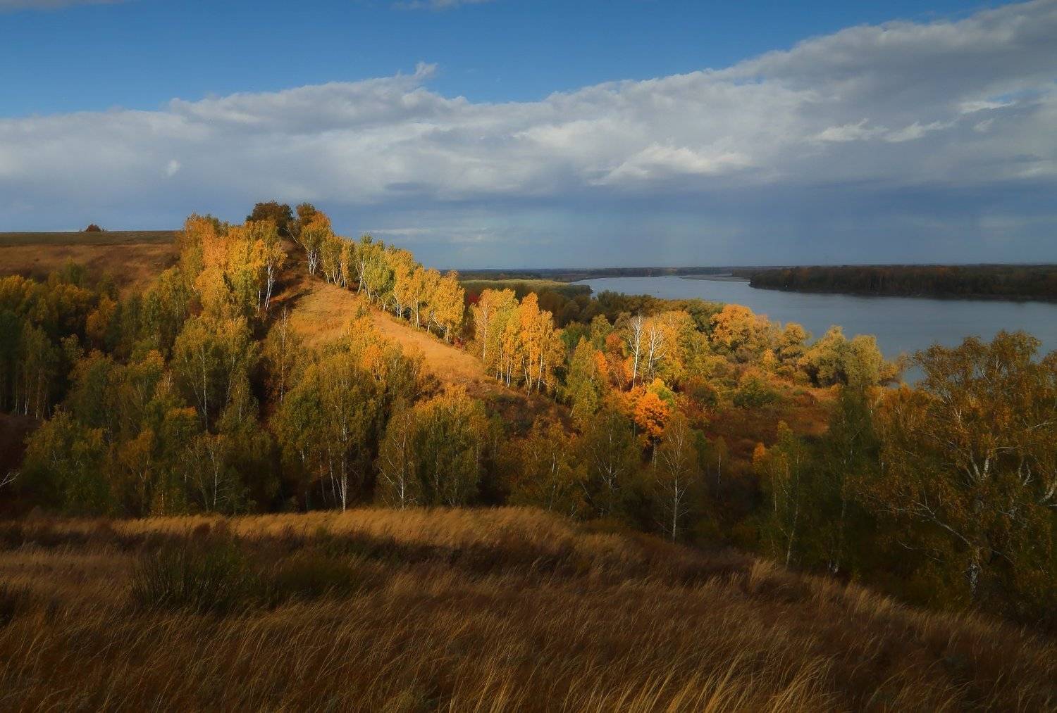 , Евгений Зинов