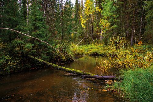 Осень в Печоре