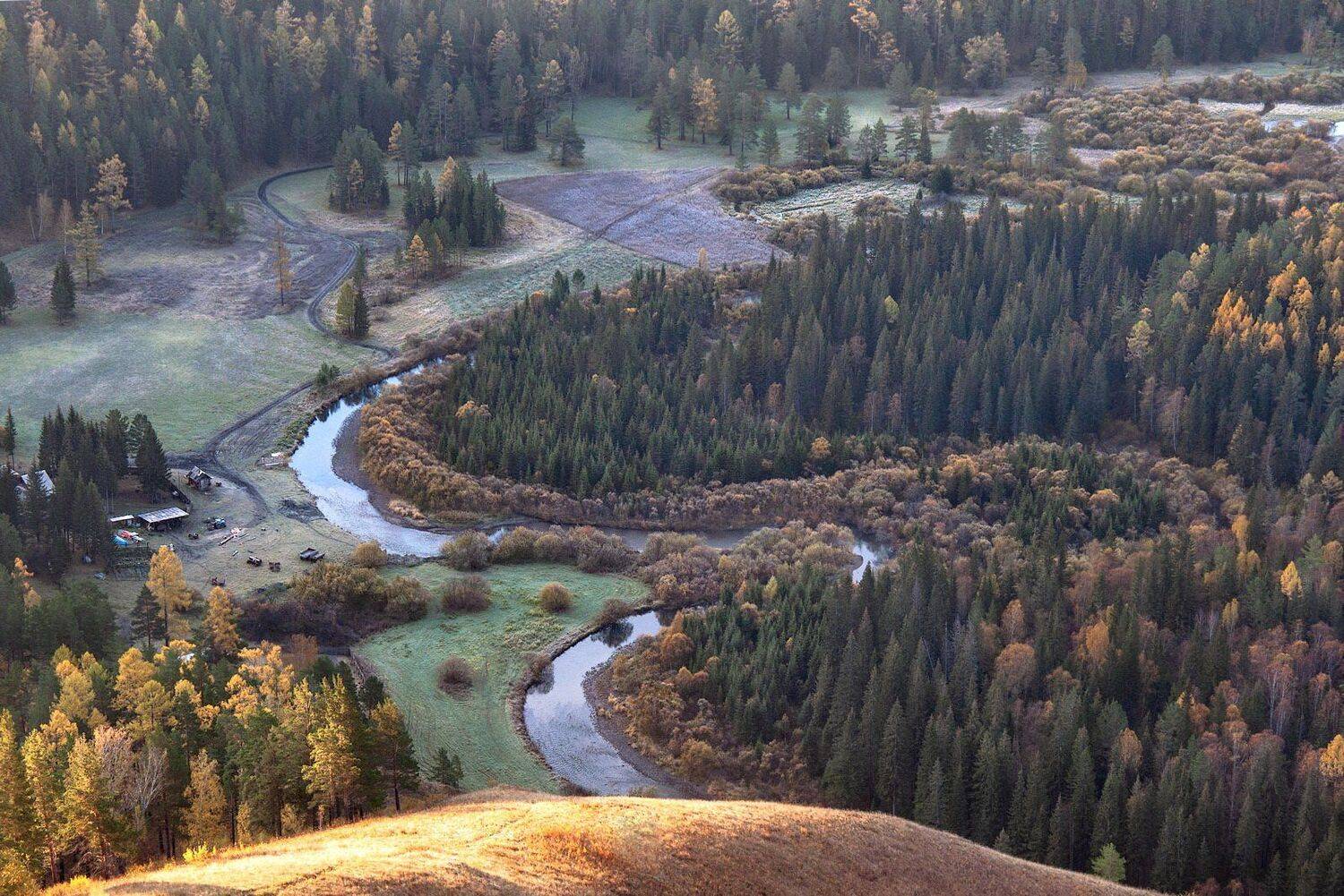 красноярский край, утро, кордон, базаиха., Марина Фомина