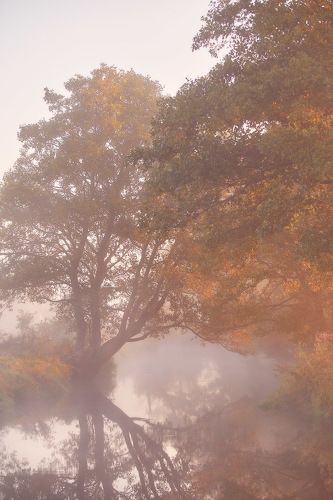 Сентябрь на Усе