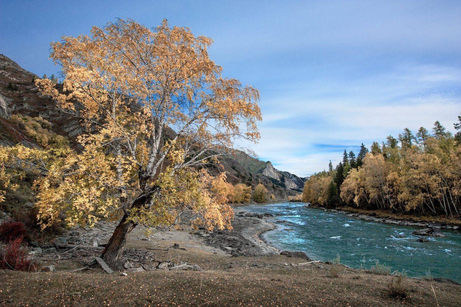 , Борис Леваков
