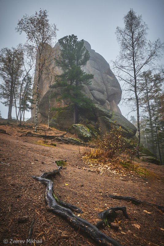 столбы Осеннее утро на Столбах фото превью