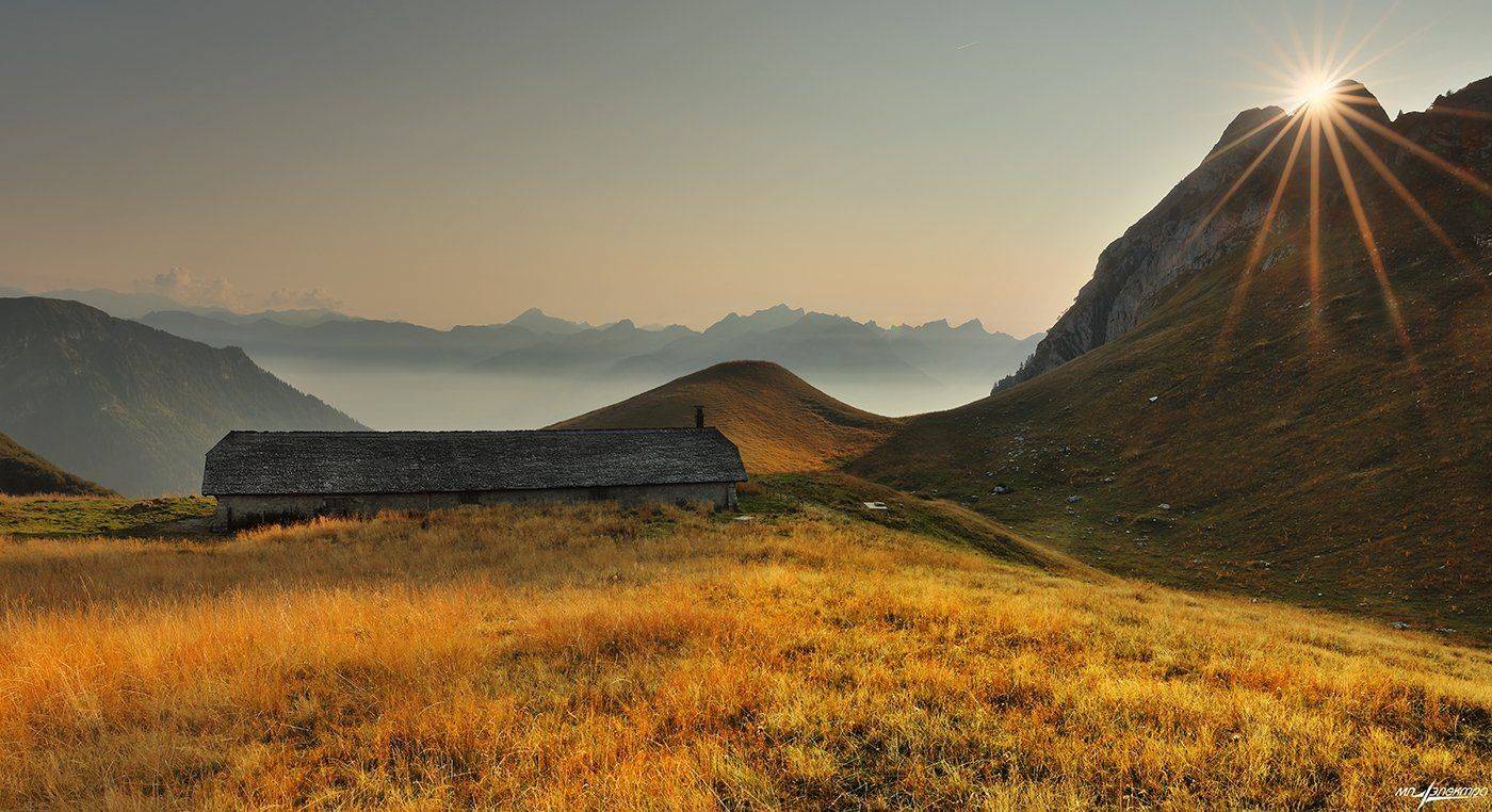 swiss, Матвеев Николай