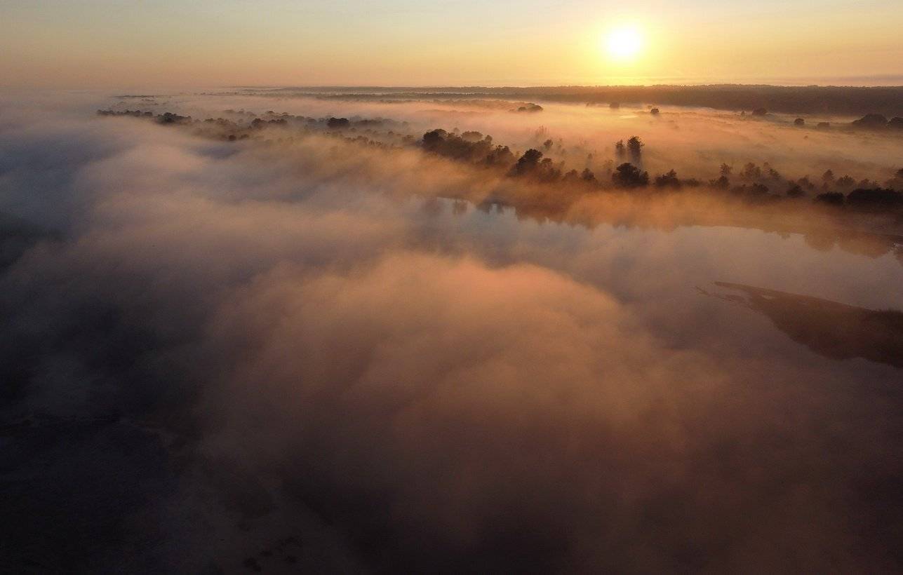 , Сергей Шляга