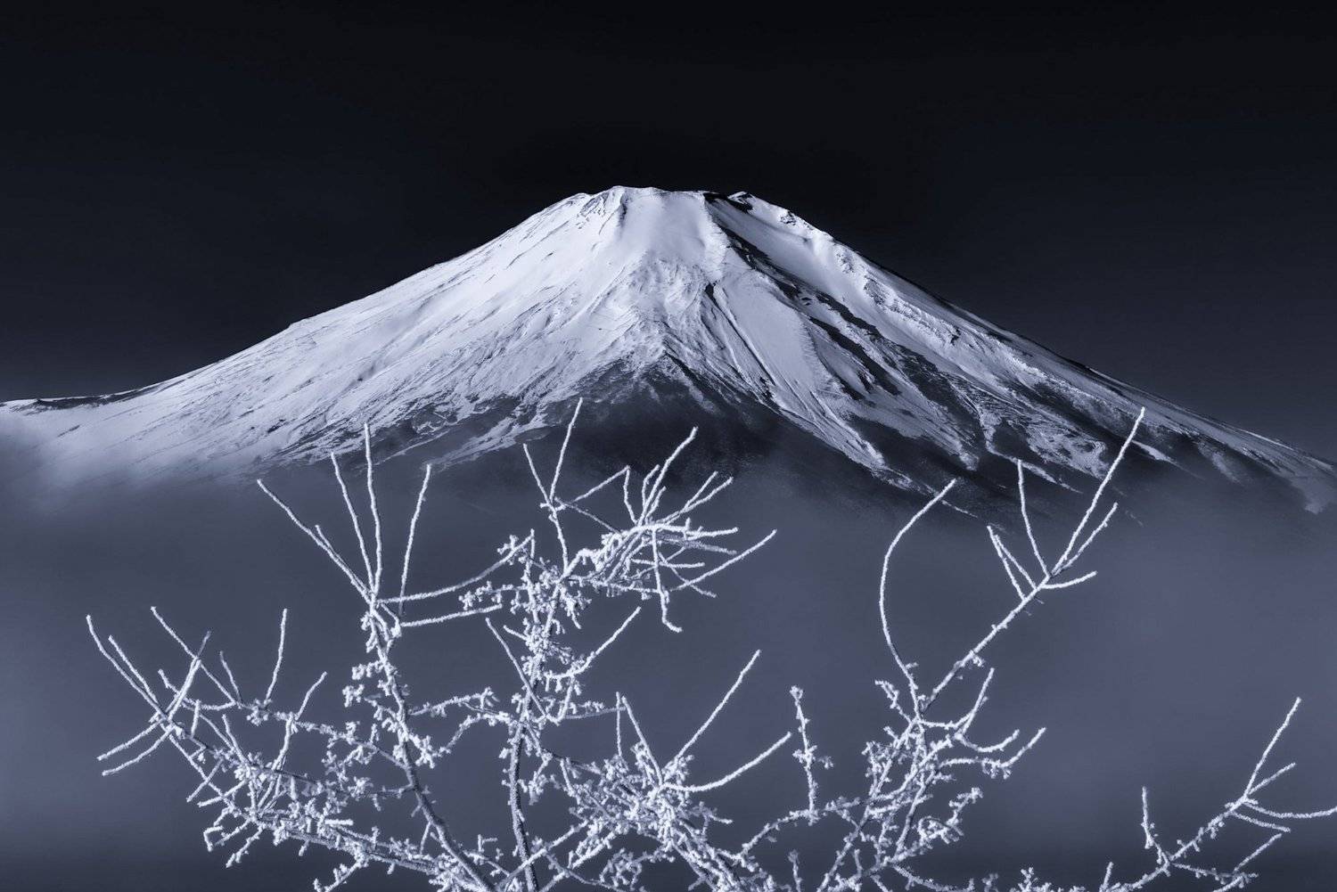 Fuji,Japan,mountain,snow,tree,fog,gas,haze,winter, Takashi