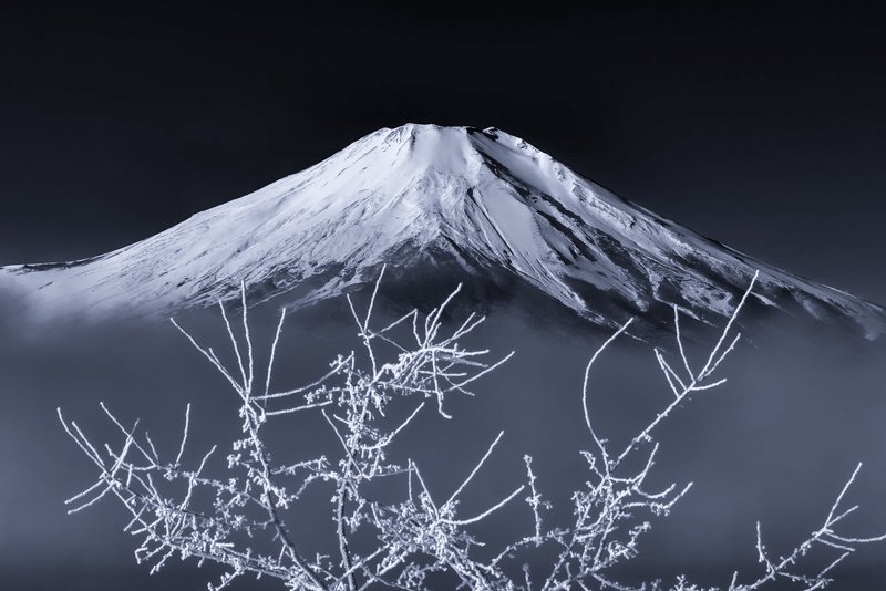 Fuji,Japan,mountain,snow,tree,fog,gas,haze,winter White tree branch фото превью