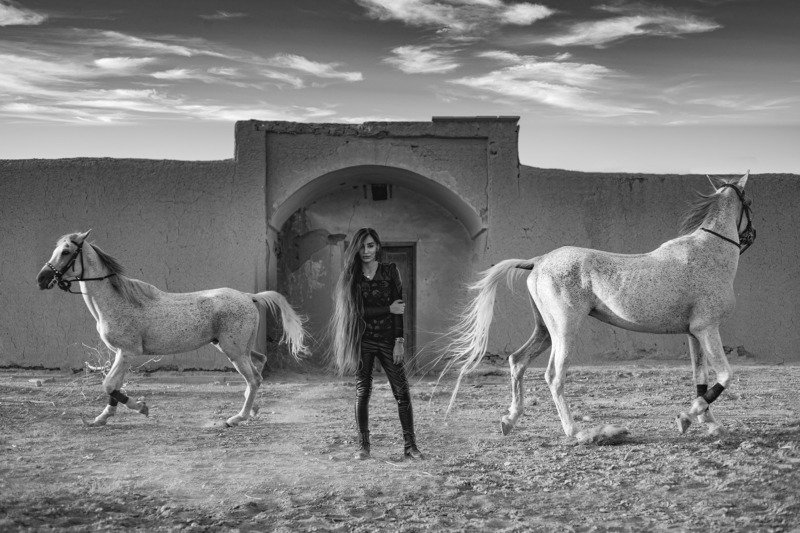 Horses фото превью