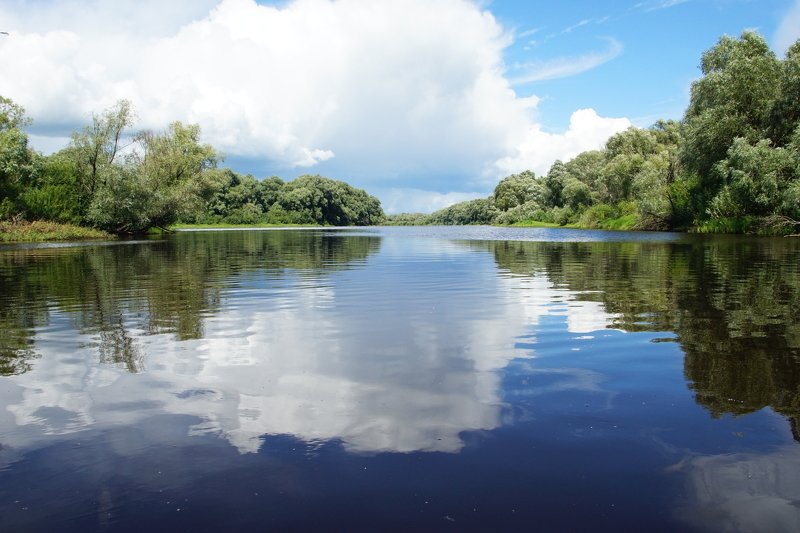 Ильмень фото превью