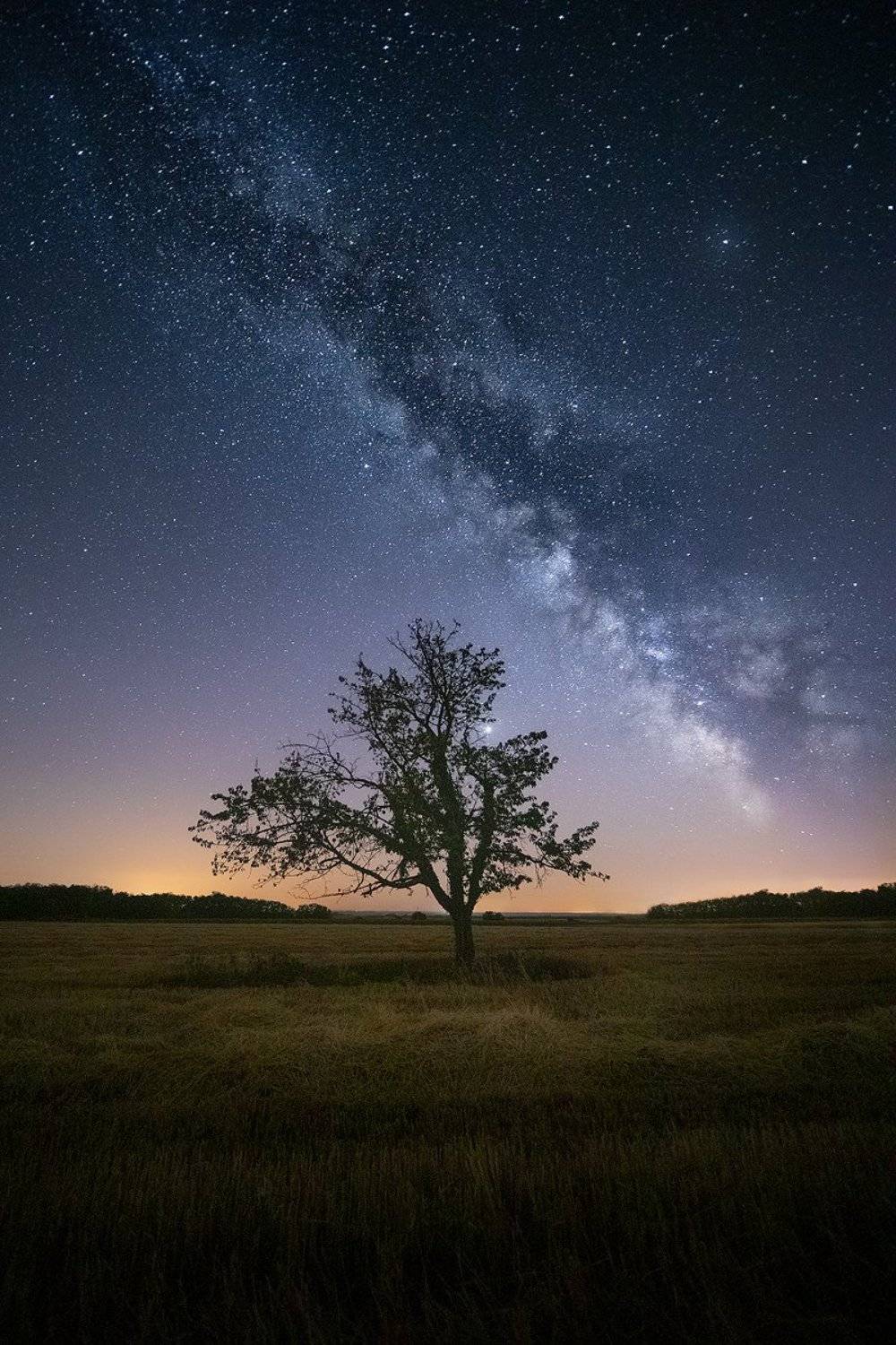 croatia, milky, way, stars, night, tree, field, , Roberto Pavic