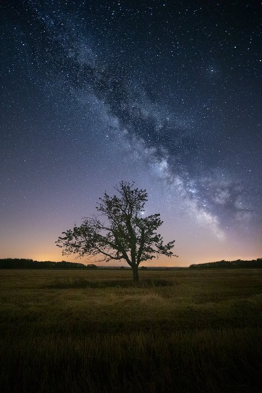 croatia, milky, way, stars, night, tree, field,  lone tree фото превью