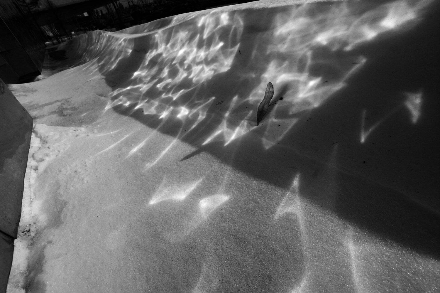 пульс, весна, кардиограмма, плясать, солнечный зайчик, отражения, Дмитрий Ткаченко