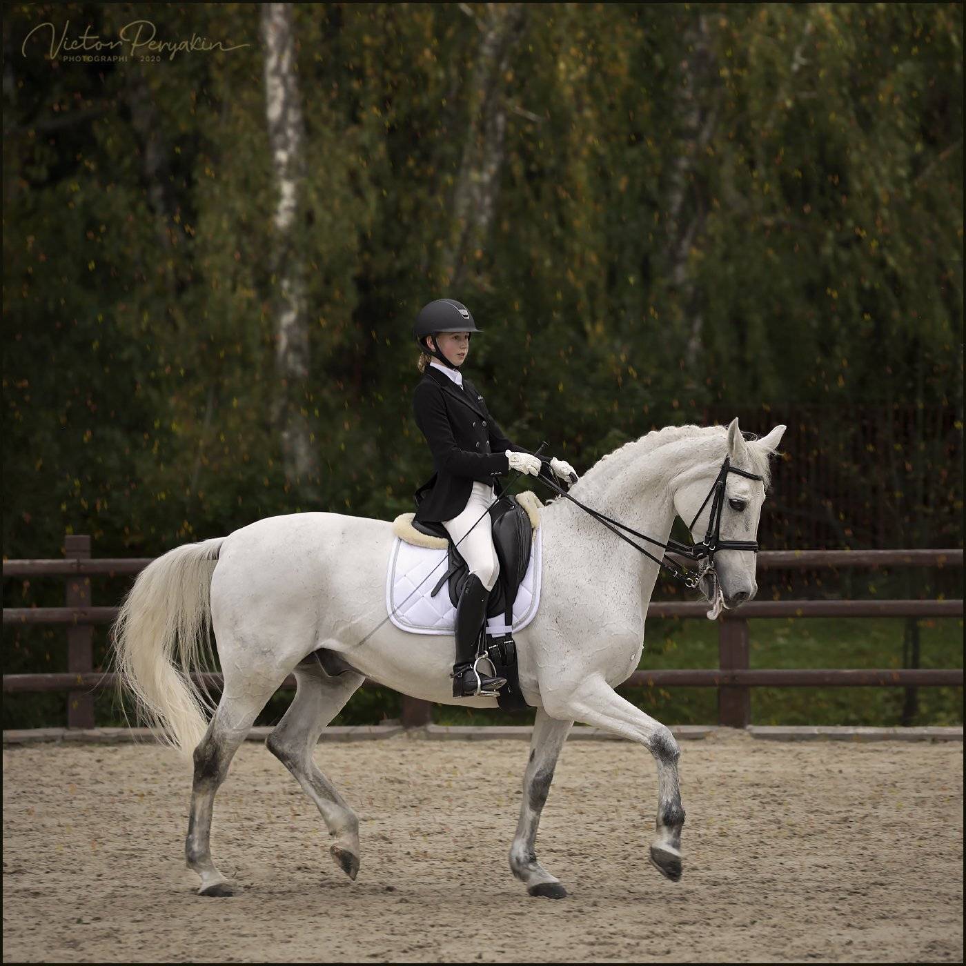 , Виктор Перякин