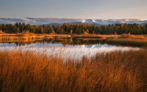 Первый снег