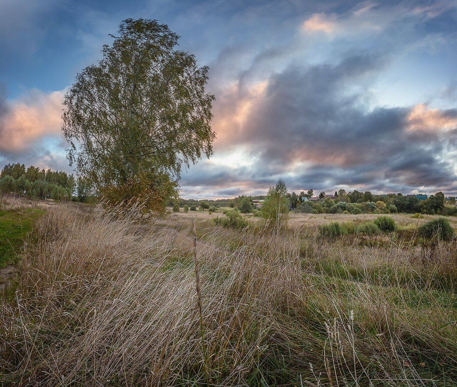 , Николай Андреев
