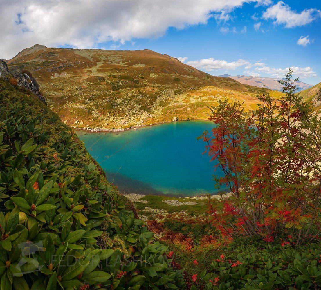 горы, кавказ, кавказские горы, архыз, осень, дуккинские озёра, озеро, рябина, горное озеро, дуккинское, озеро рыбка,, Лашков Фёдор