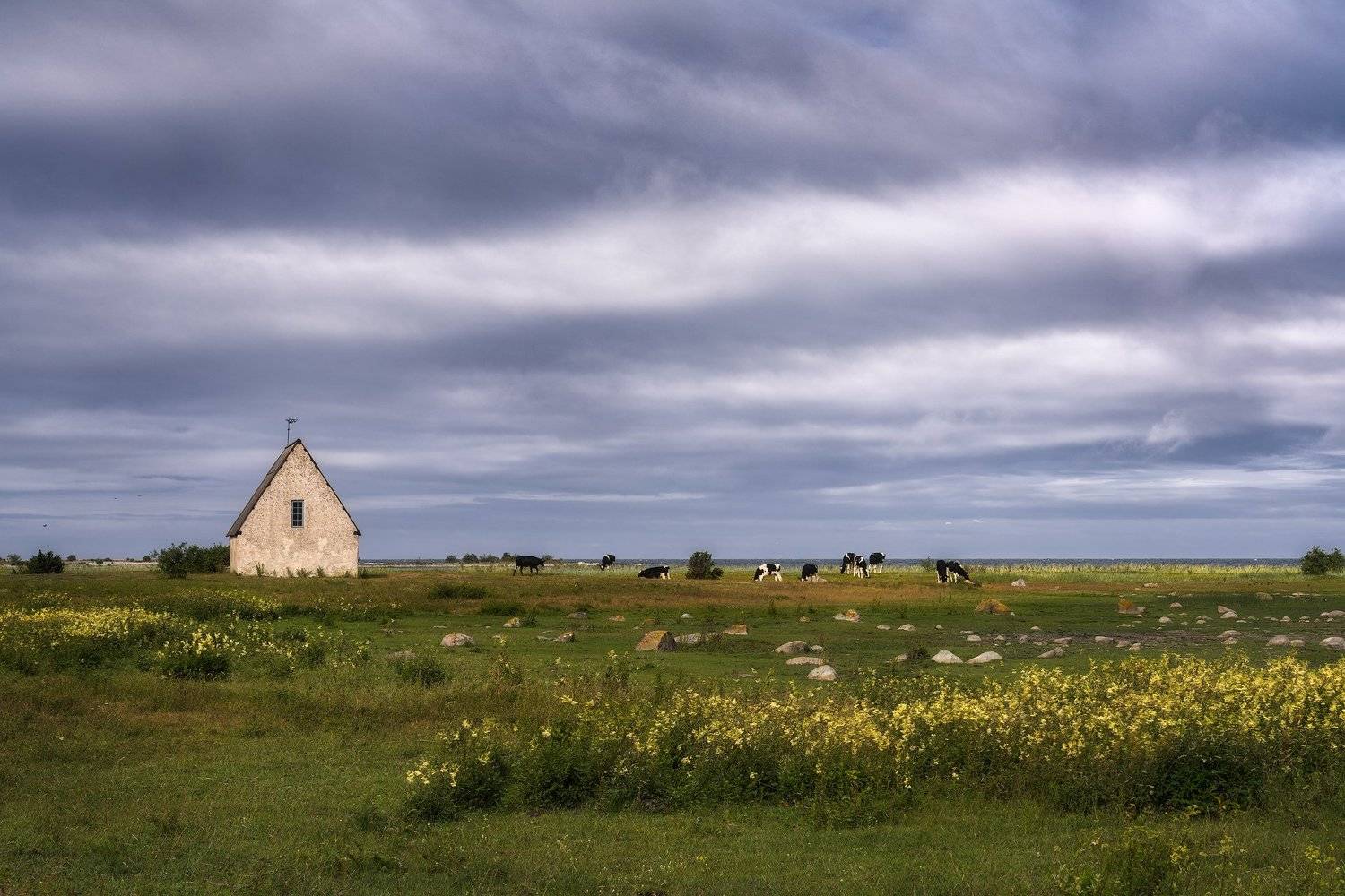 balticsea, Beach, chalkstone, chalkstonechapel, chapel, Clouds, Coast, coastal, cowpasture, cows, fishermen&acute;svillage, fishermen'schapel, Fishing, fishingmuseum, fishingstation, fishinvillage, flowers, Gotland, Grass, Island, Kovik, kovik'schapel, Meadow, , Ludwig Riml
