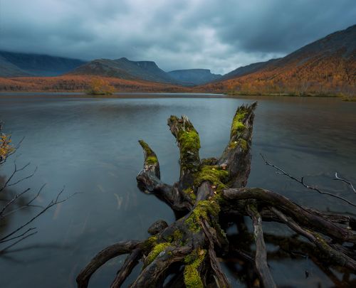 Кольский пень