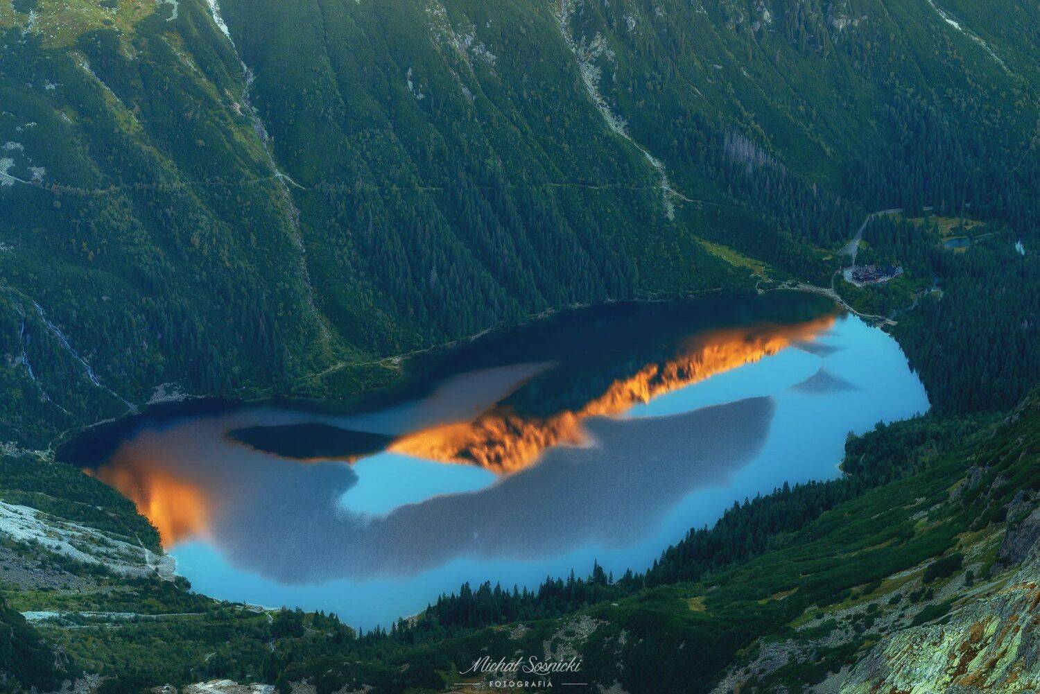 #tree #morning #poland #sunrise #fog #foggy #tatras #lake, Michał Sośnicki