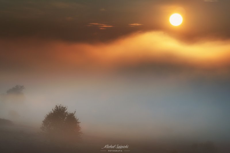 Foggy morning... фото превью