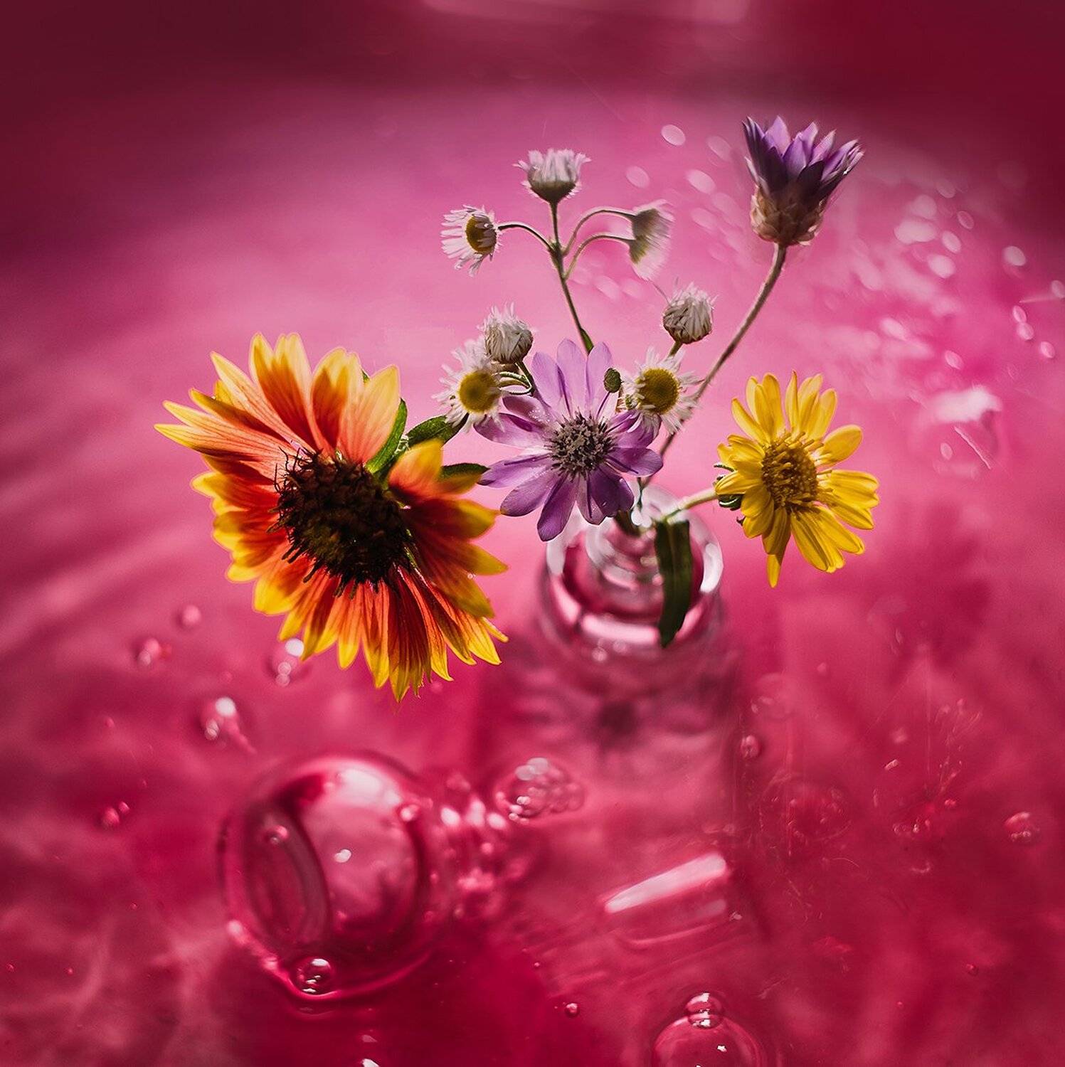 , MVO (Марк Орлов)