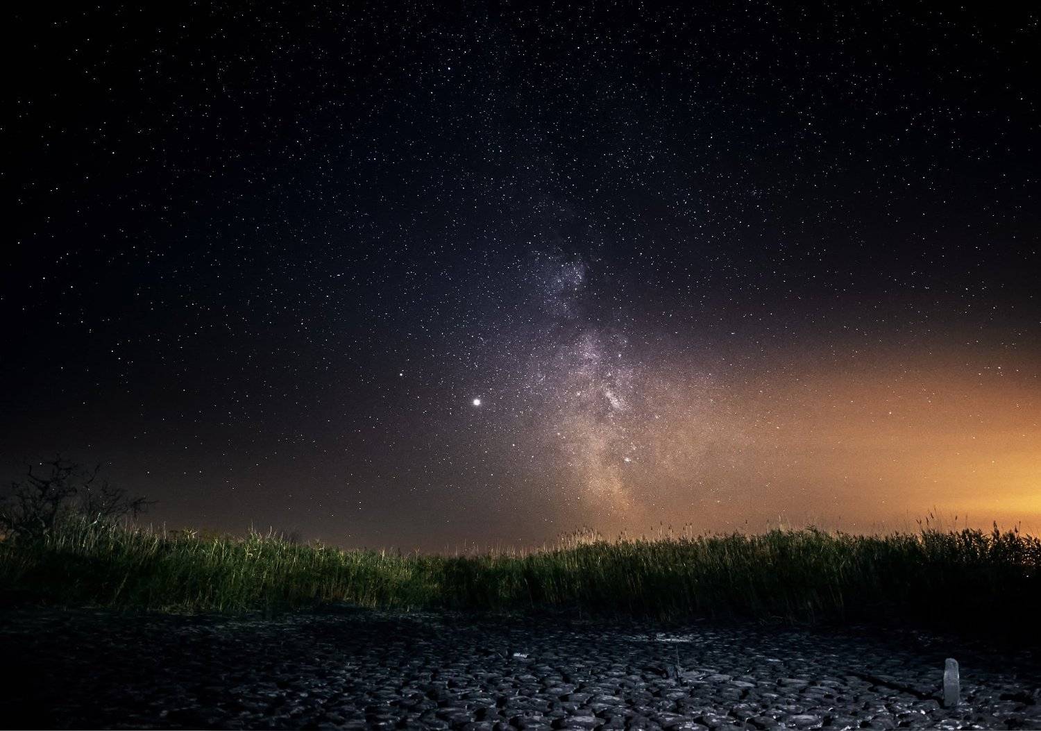 , Юрий Диденко