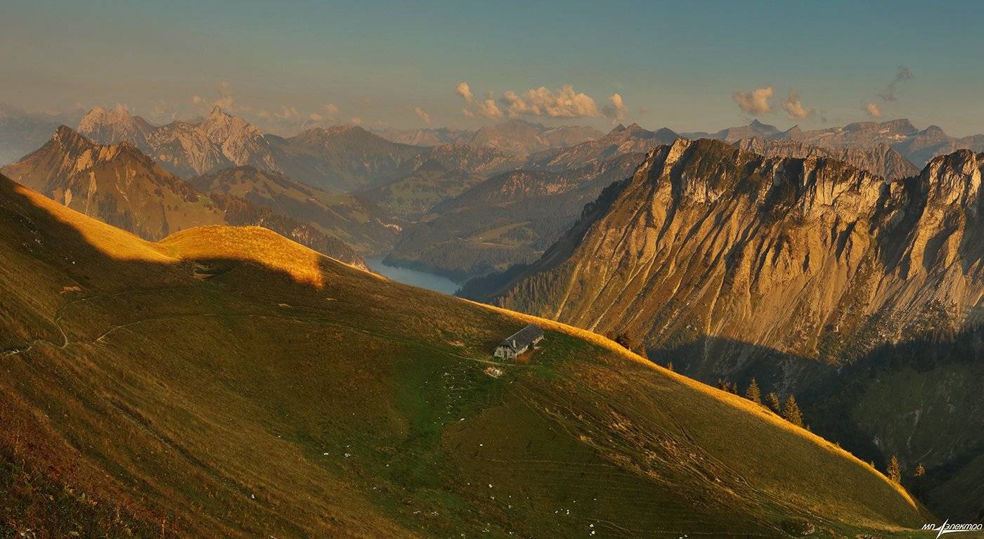 swiss, Матвеев Николай