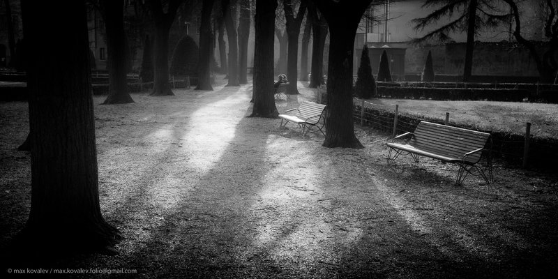 Italy, Mantova, Mantua, bench, gauze, haze, ray, shadow, square, sunny, tree, Италия, Мантуя, дерево, дымка, луч, скамейка, сквер, солнечный, тень, туман тени / shadows фото превью