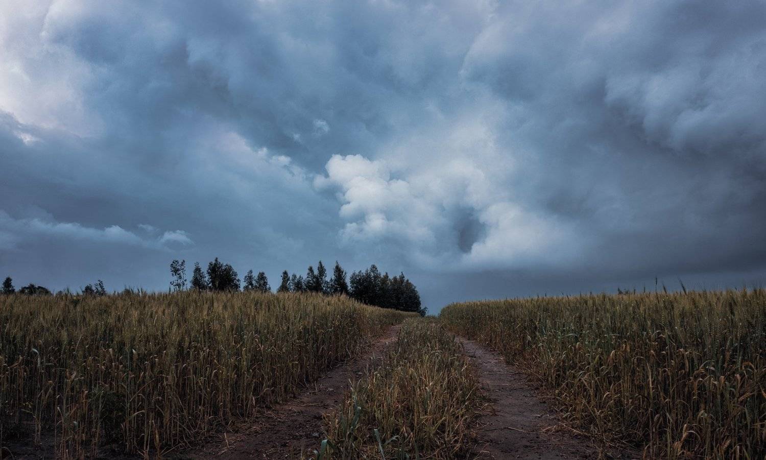 , Григорий Крамаренко