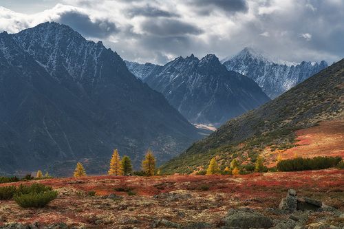 Колымские края