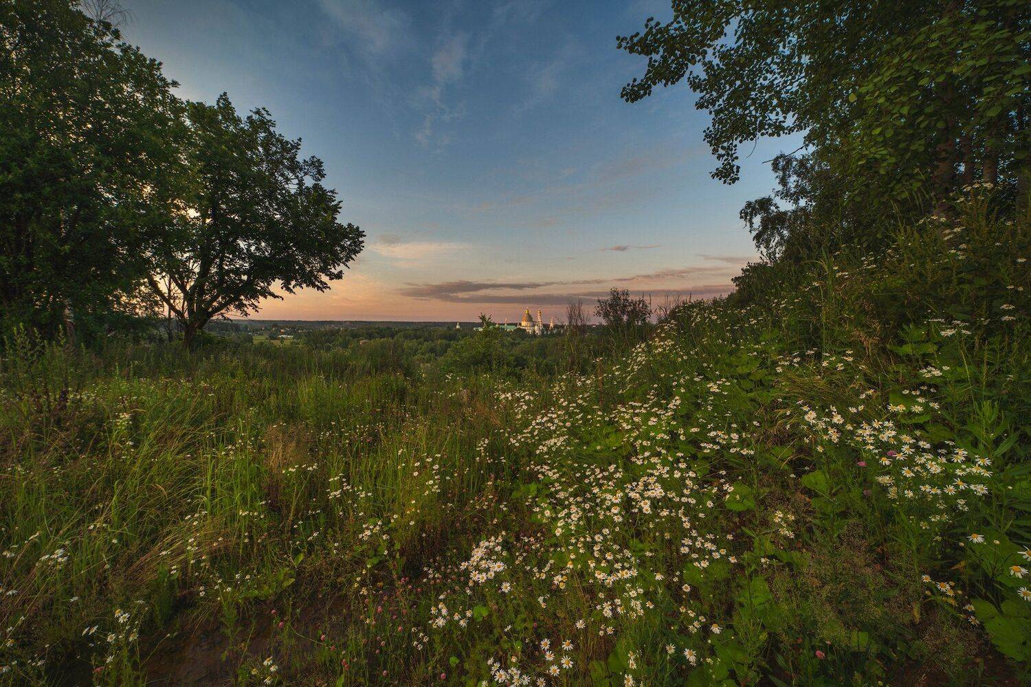 , Константин Дэм