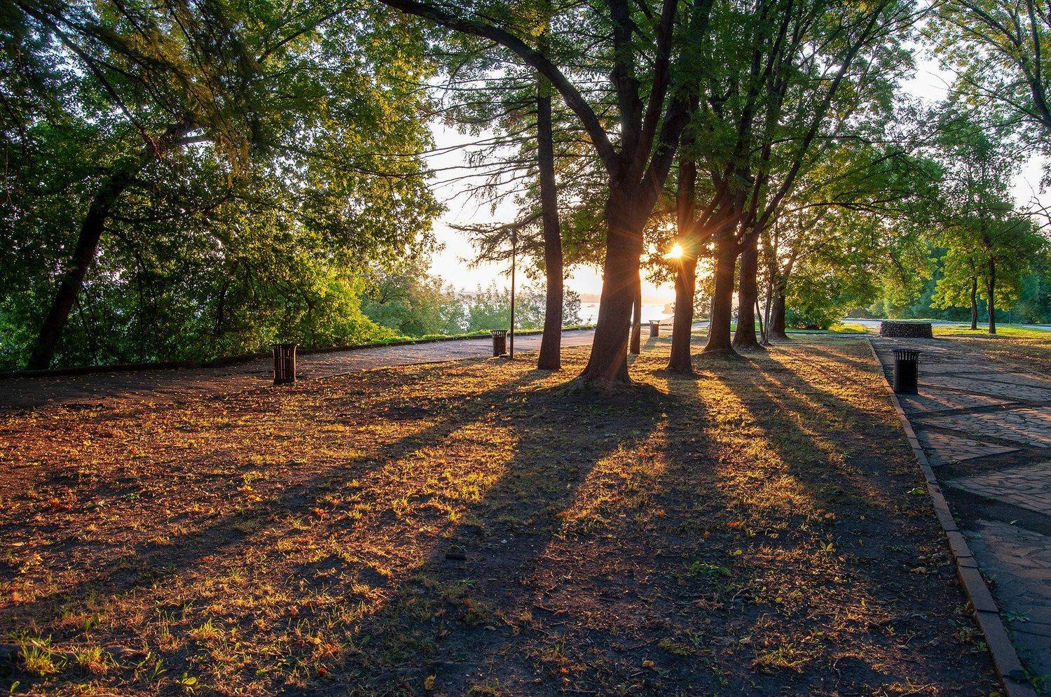 утро, рассвет, город, парк, лето, Andres Ganenkoff