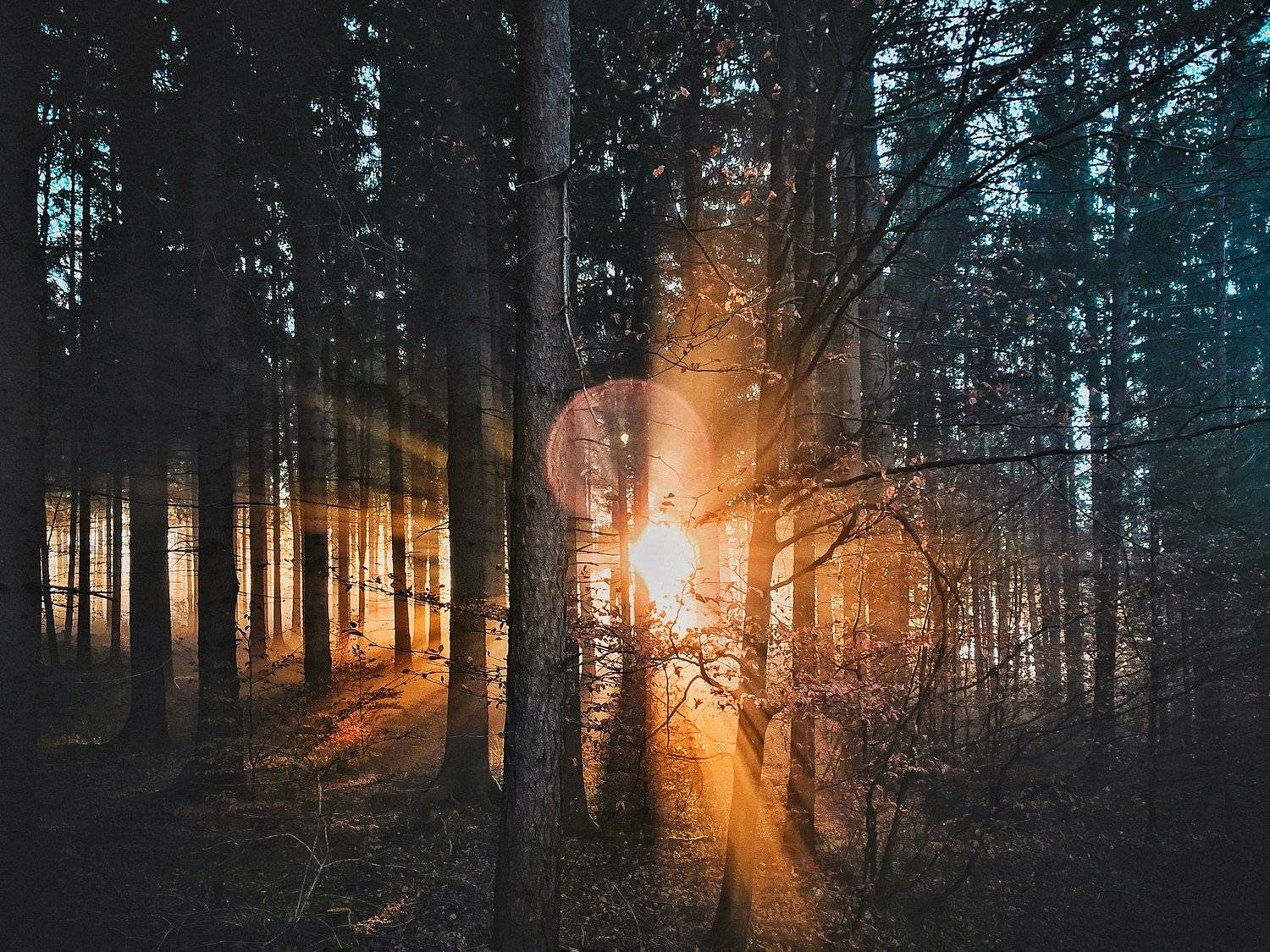 Башкирия, лес, , Качурин Алексей