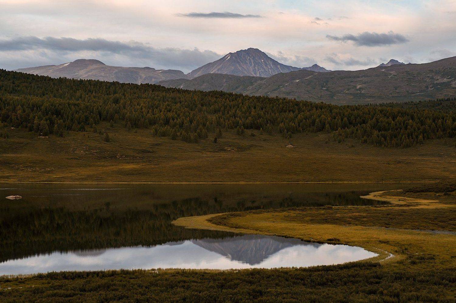 , Олег Логунов