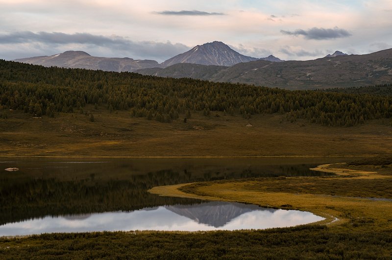 _ фото превью