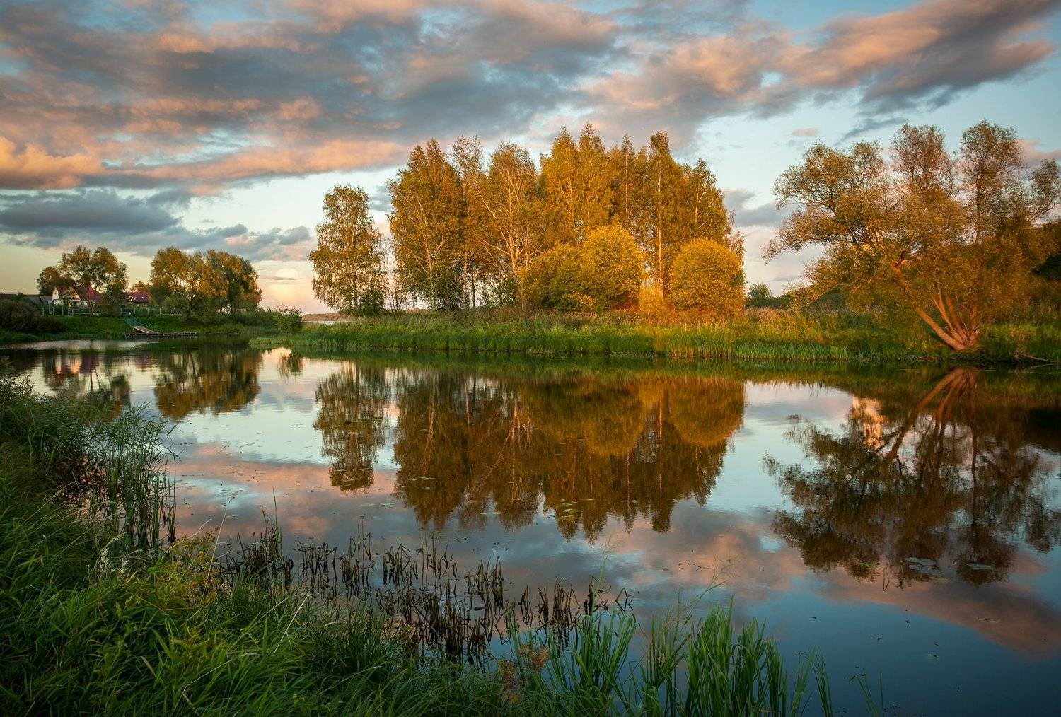 , Алекс Римский