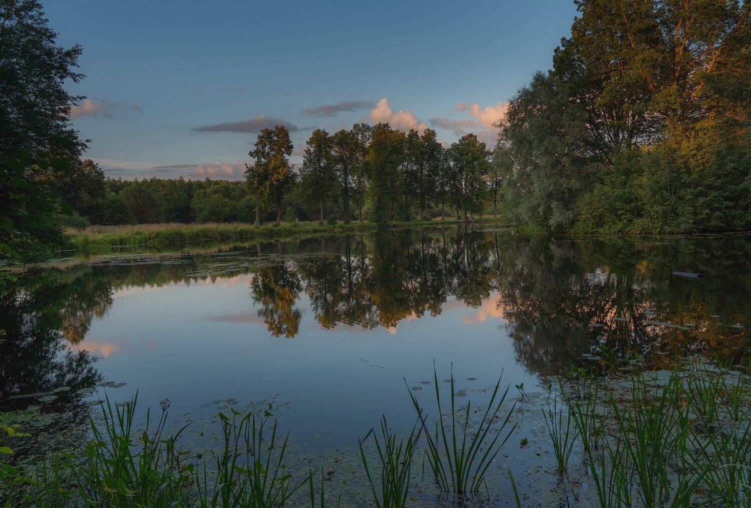 , Константин Дэм