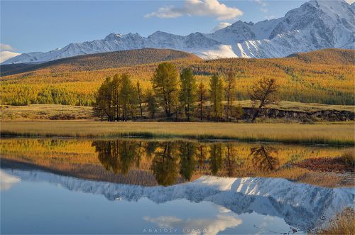 Осенние краски Алтая