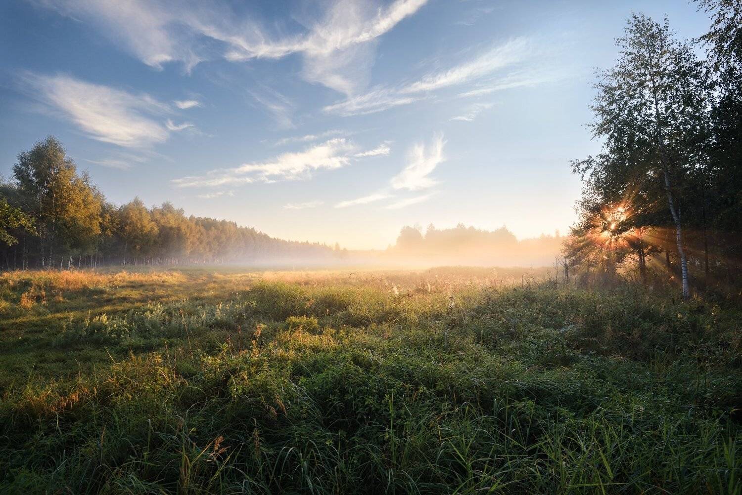 утро,рассвет,лес,поляна,туман,солнце,лучи,небо,облака, Виталий Полуэктов
