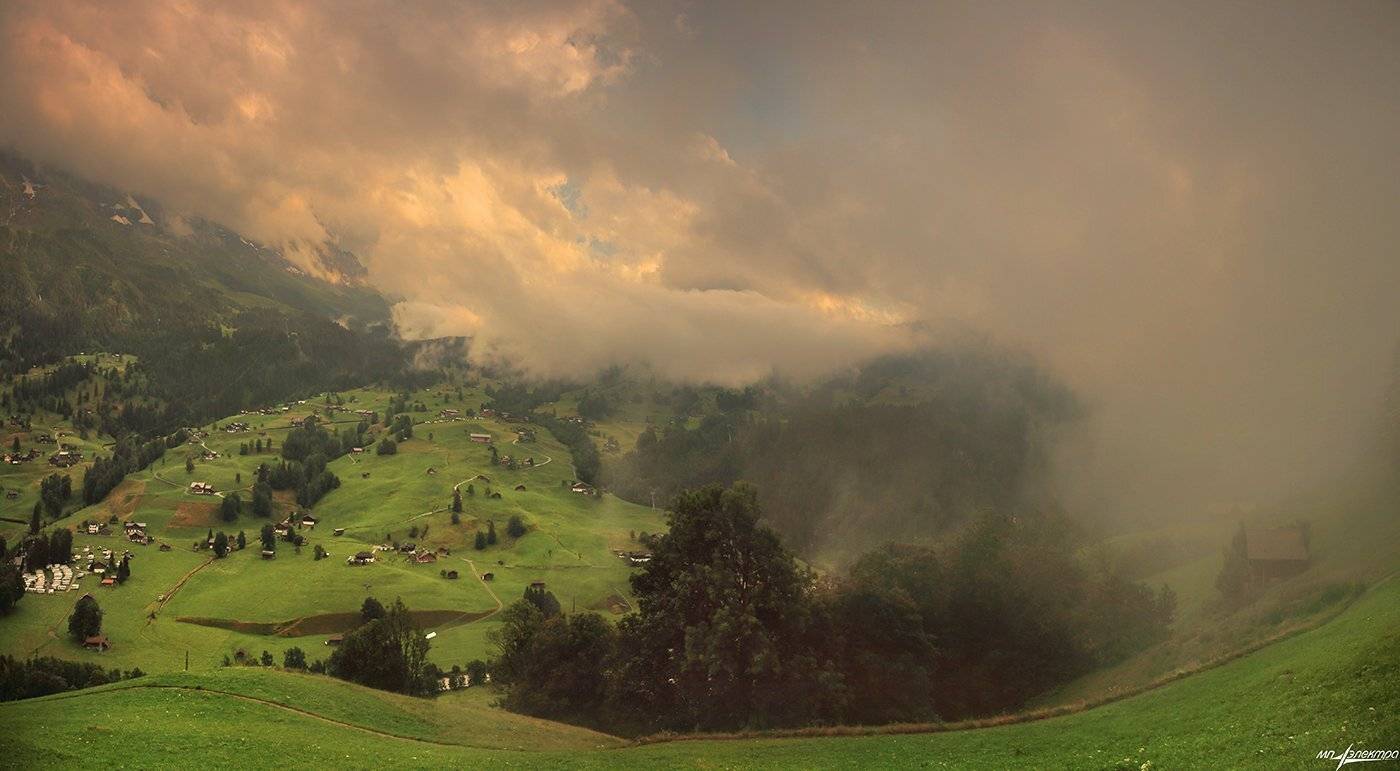 swiss, Матвеев Николай
