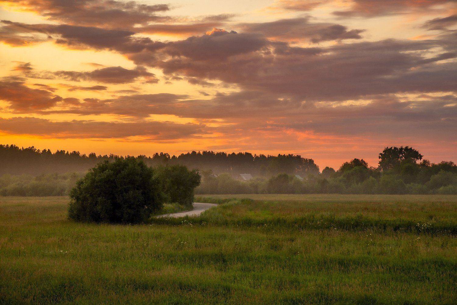архангельская обасть, белая ночь, русский север, заброшенные деревни, закат, летний вечер, туман, Михаил Карпов