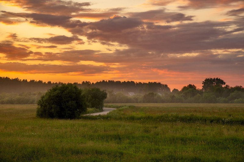 архангельская обасть, белая ночь, русский север, заброшенные деревни, закат, летний вечер, туман Кочневская фото превью
