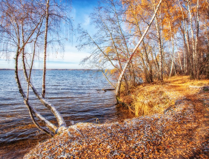Изгибы осени. фото превью