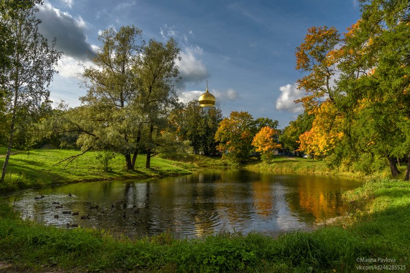 город, пушкин, царское село, собор феодоровской иконы божией матери, храм,собор, осень, пригороды петербурга Осень в Царском Селе... фото превью