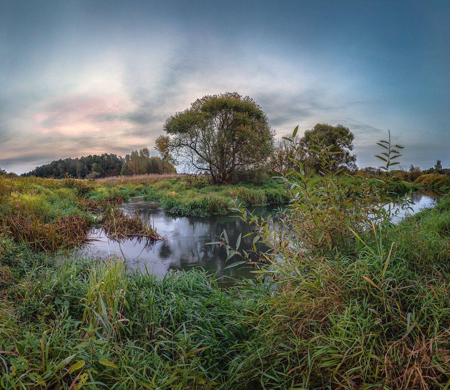 , Николай Андреев