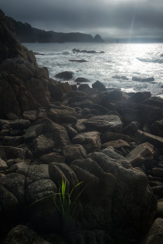 россия,приморский край,хасанский район,бухта теляковского,море,скалы,камни,тучи,свет,трава,дмитрий подкопаев ,,Тяга к жизни,, фото превью