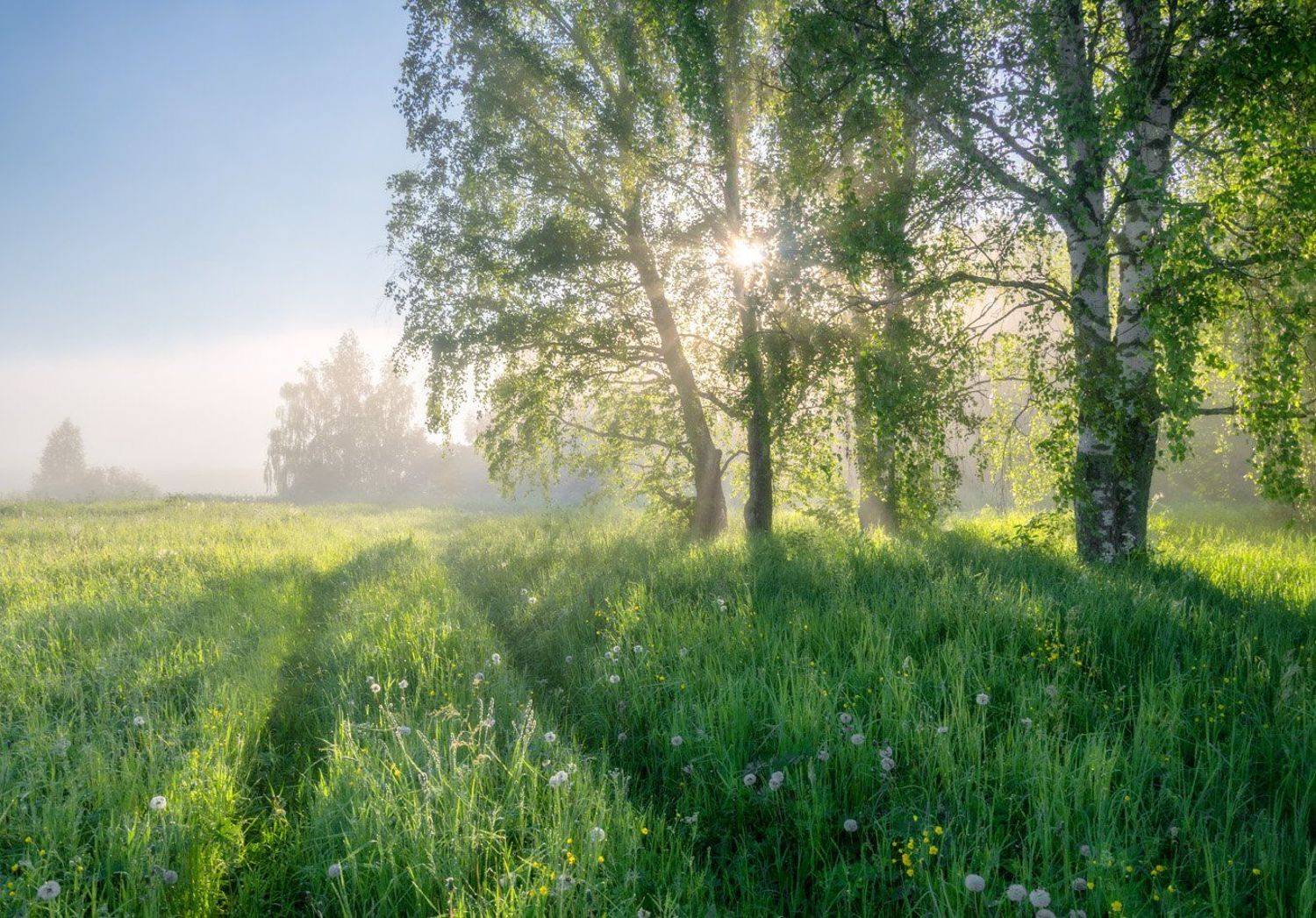 , Александр Архипкин