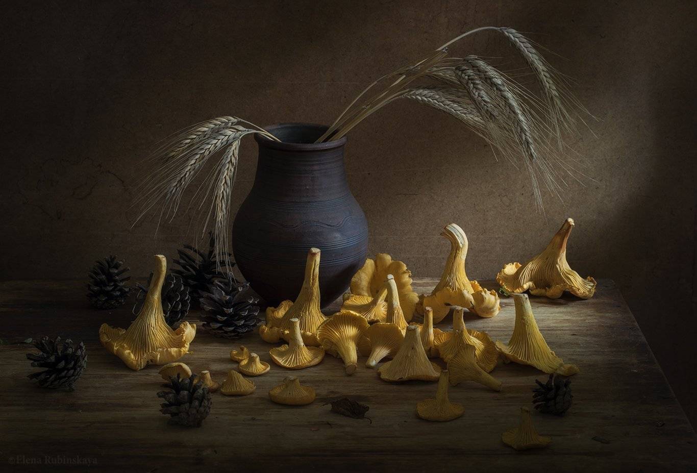 , Елена Рубинская