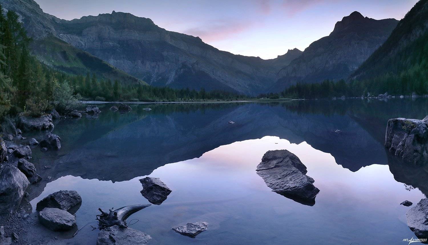 swiss, Матвеев Николай